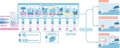 A Guide to International Climate Mitigation Policy and Finance Frameworks Relevant to the Protection and Restoration of Blue Carbon Ecosystems